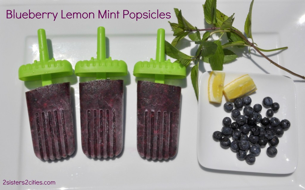 Blueberry Lemon Popsicles