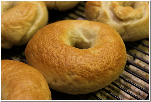 Homemade Bagels