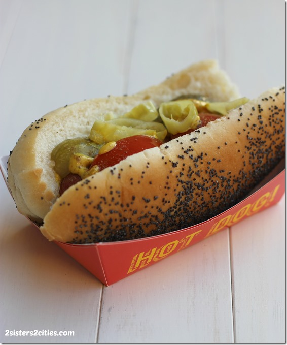 Chicago Style Hot Dog