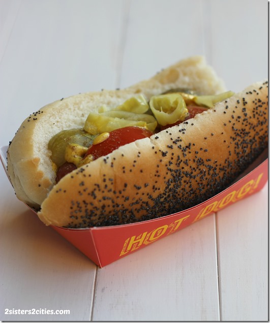 Chicago Style Hot Dog