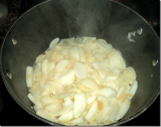 Cooking Apple Sauce