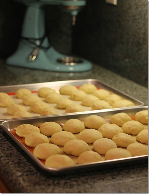 Homemade Rolls Rising